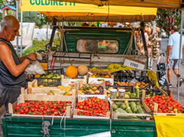 Cernia alla Lampedusana