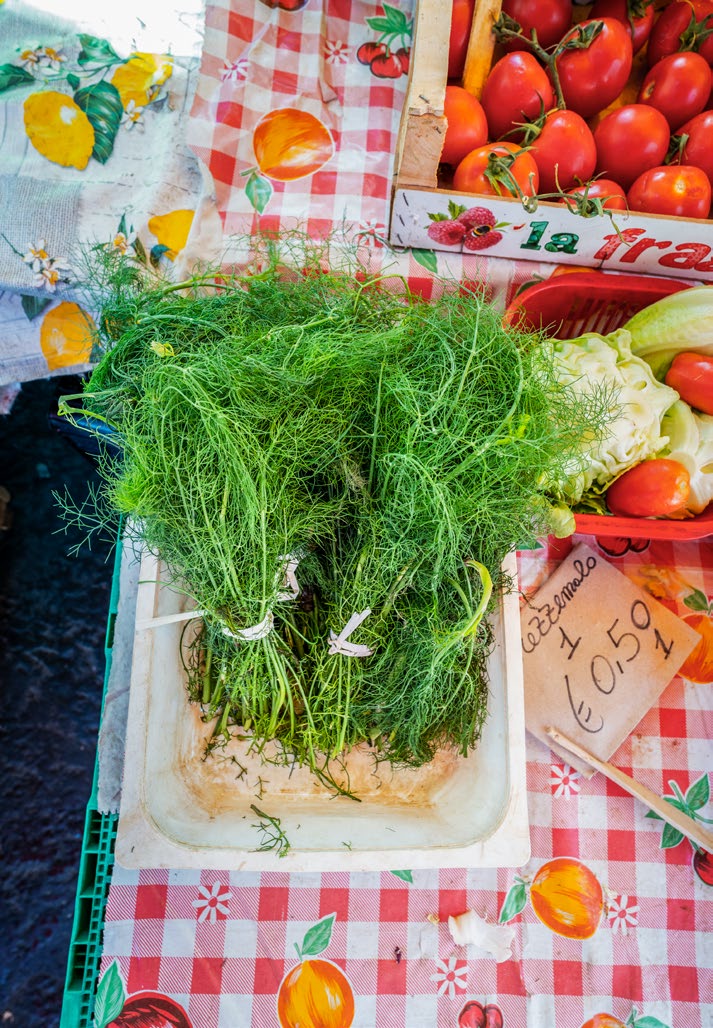 Filu ‘e Ferru al Finocchio