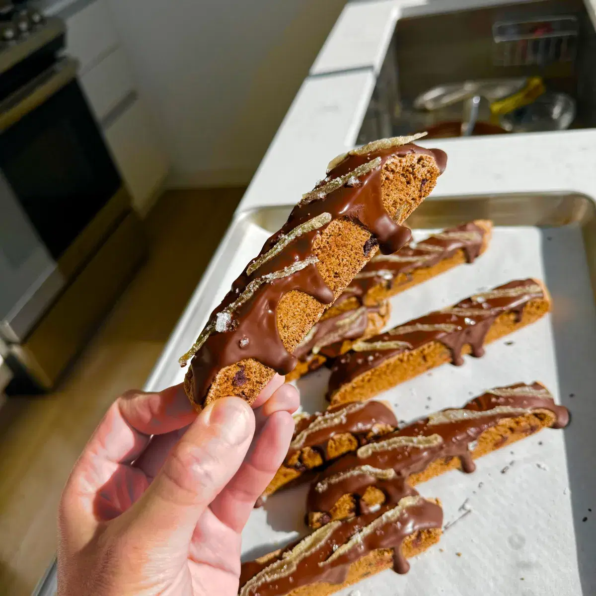 Chocolate Gingerbread Biscotti