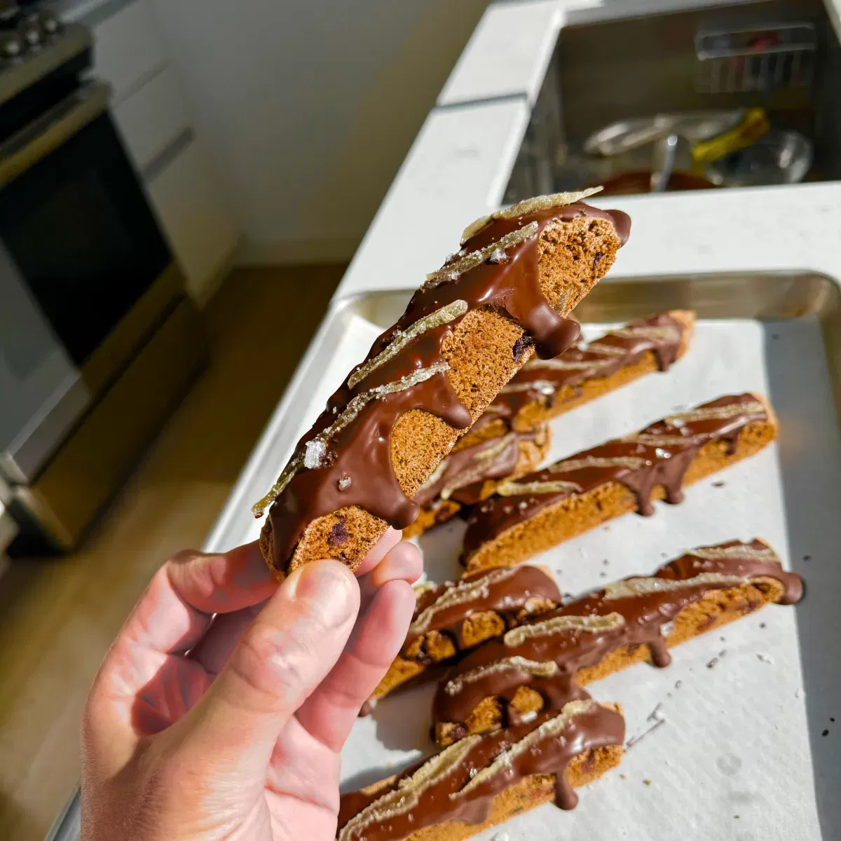 Chocolate Gingerbread Biscotti