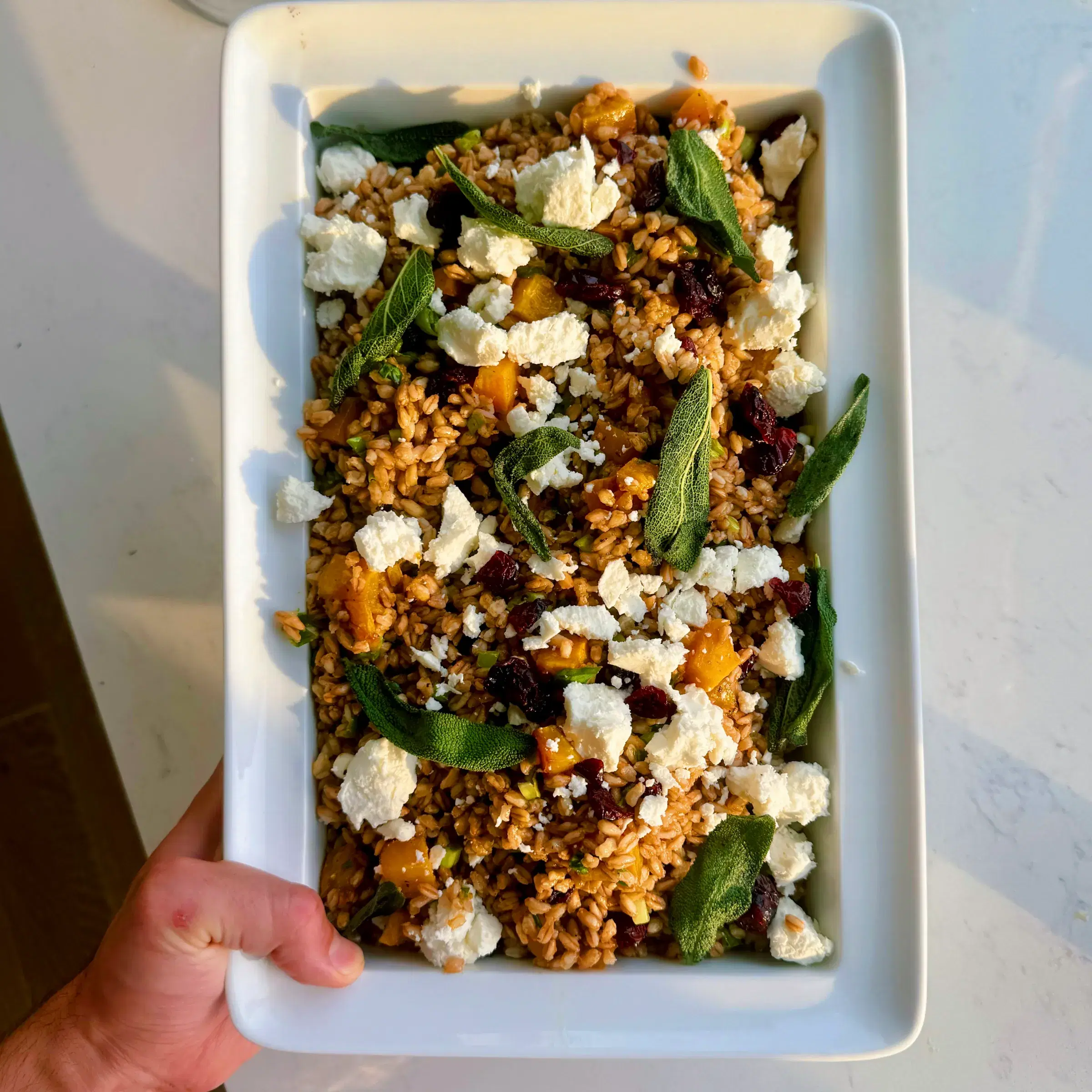 Fall Farro Salad