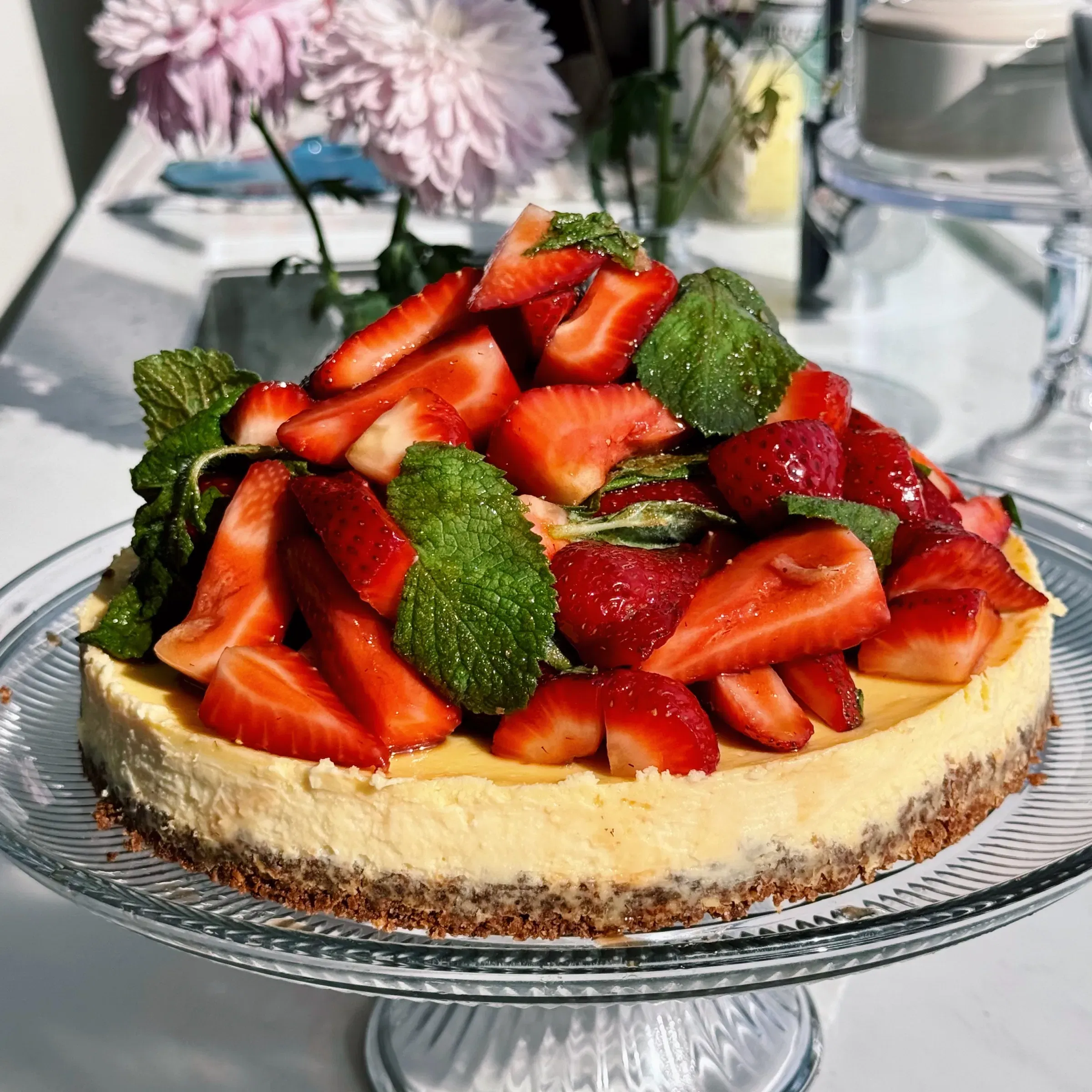 Strawberry Goat Cheesecake
