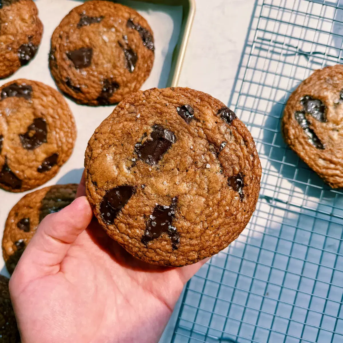 My Forever Favorite Chocolate Chip Cookies