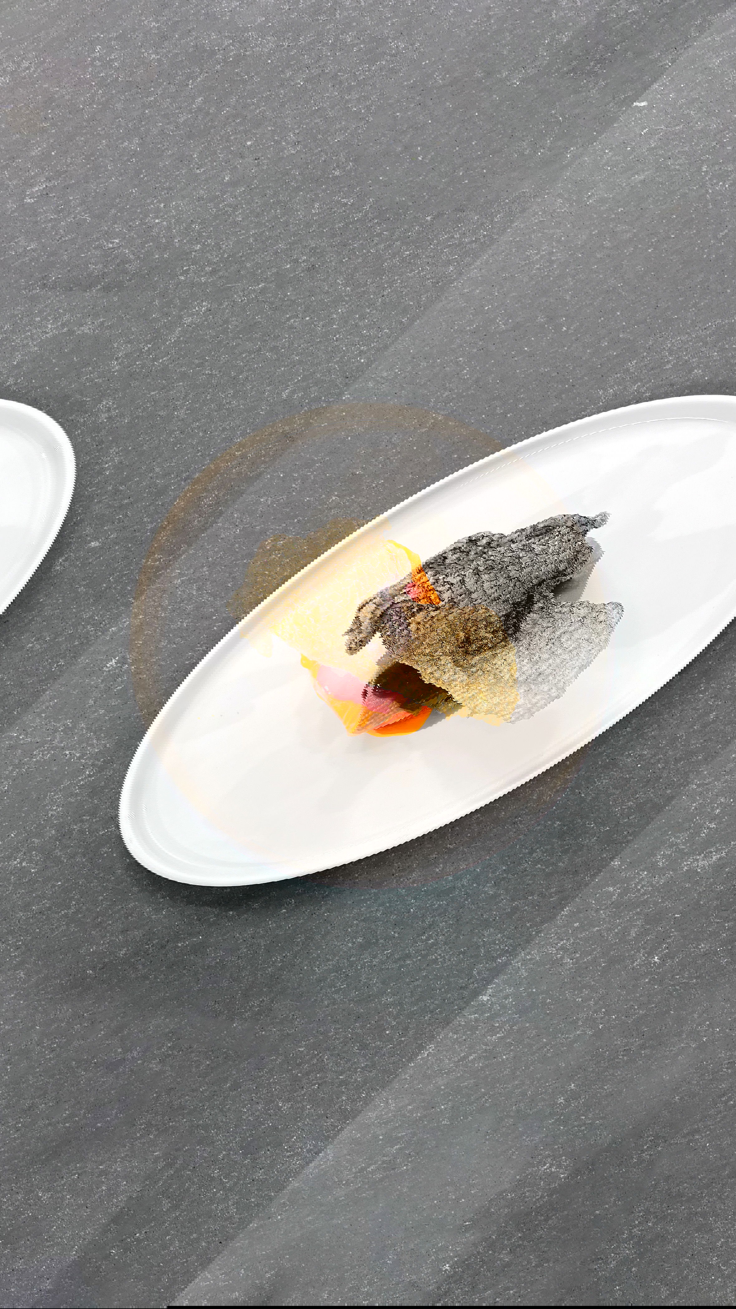 Black Vinegar Salmon and it's Skin