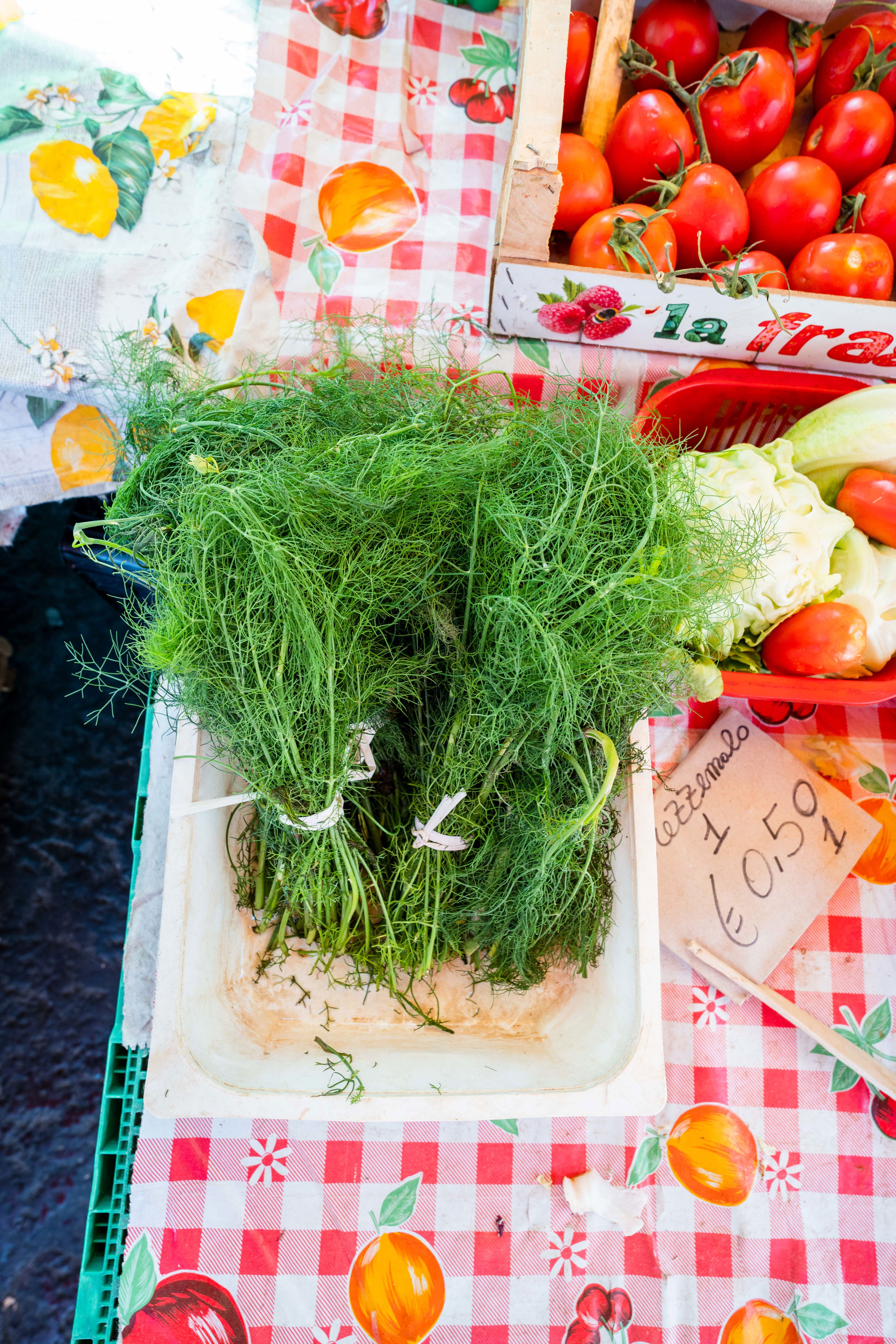 Filu ‘e Ferru al Finocchio