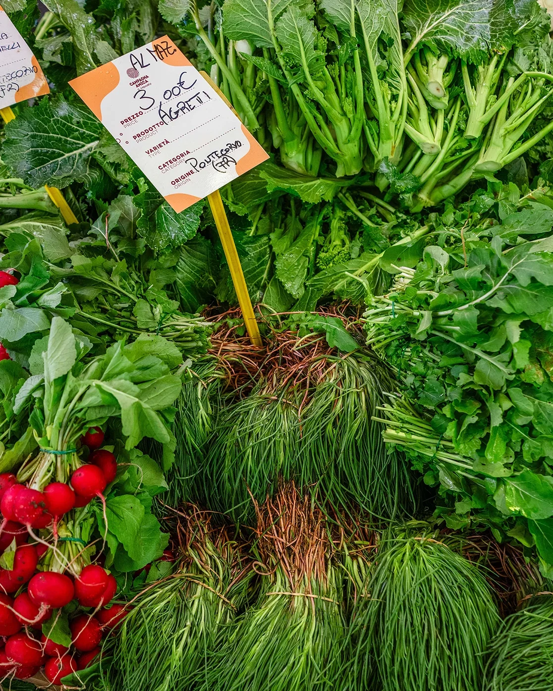 Agretti all’Agro