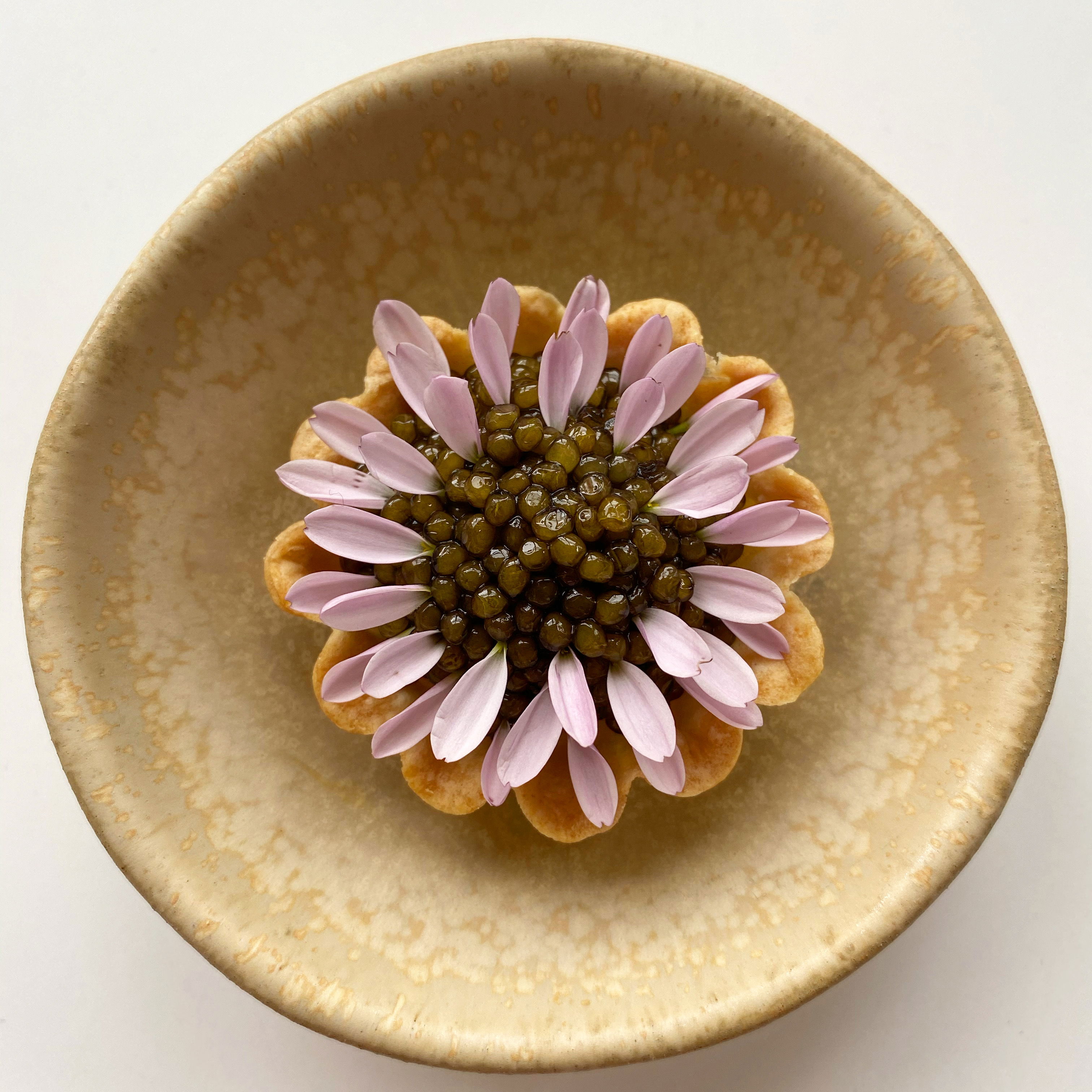 Flower Tart