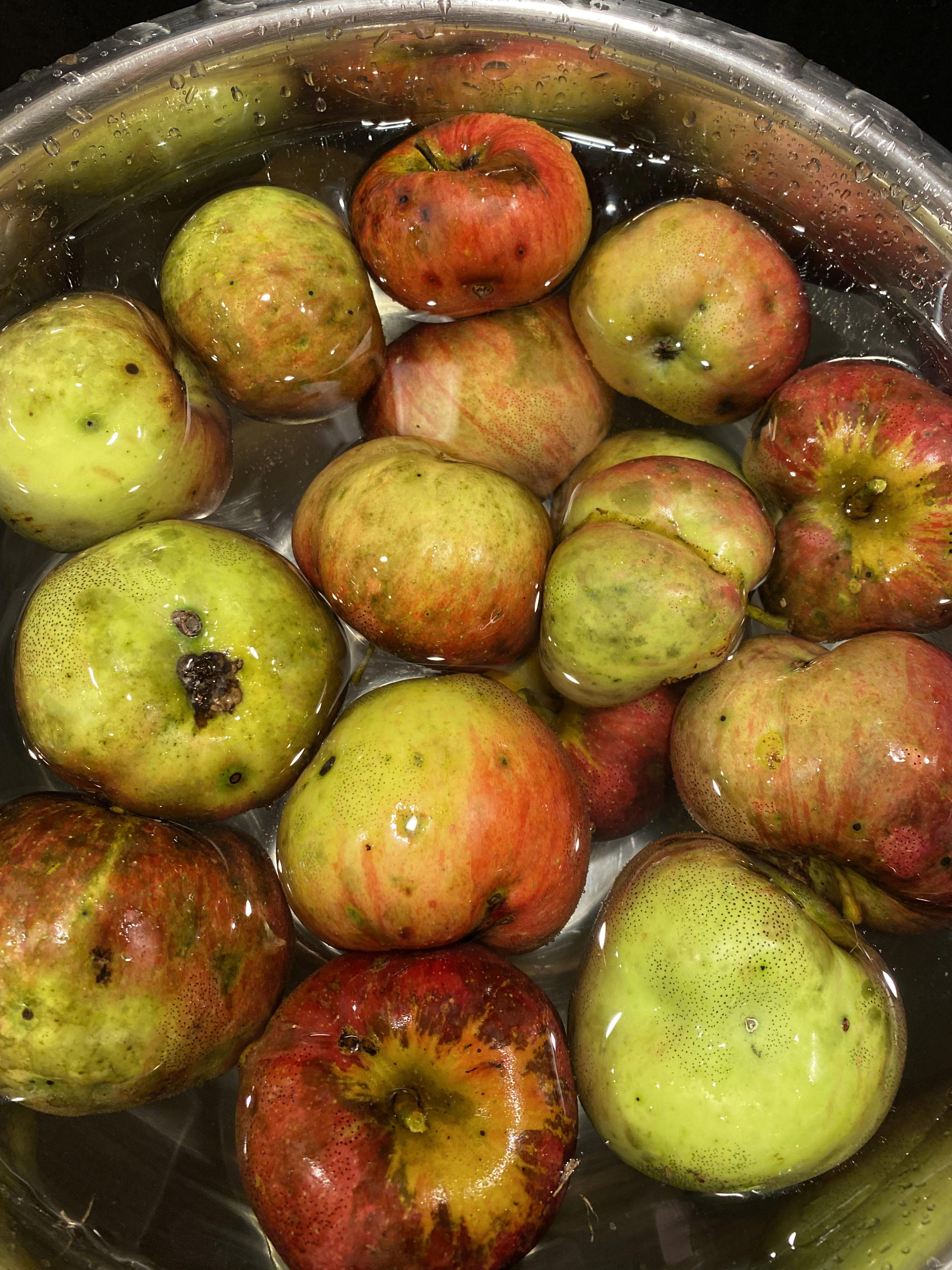 Wild Apple Tarte Tatin